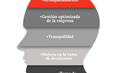 ¿Qué beneficios obtienes al tener una asesor financiero externo en una pyme?